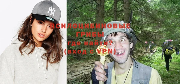сатива Володарск