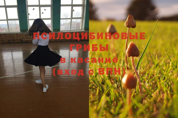 ешки Верхний Тагил