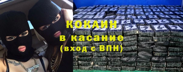 шишки Верея