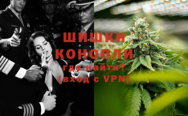 СК Богородск