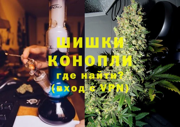 шишки Верея