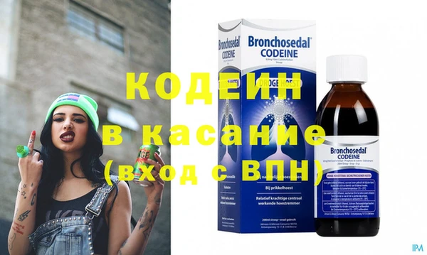 шишки Верея