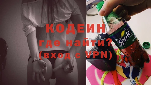 шишки Верея
